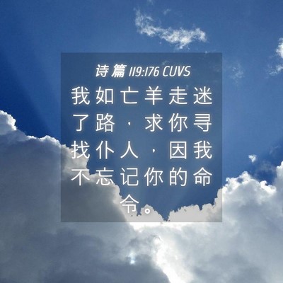 Picture 04 - 诗 篇 119:176 CUVS - 我 如 亡 羊 走 迷 了 路 ， 求 你 寻 - Bible Verse Picture