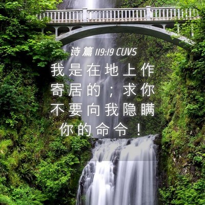 Picture 04 - 诗 篇 119:19 CUVS - 我 是 在 地 上 作 寄 居 的 ； 求 你 - Bible Verse Picture