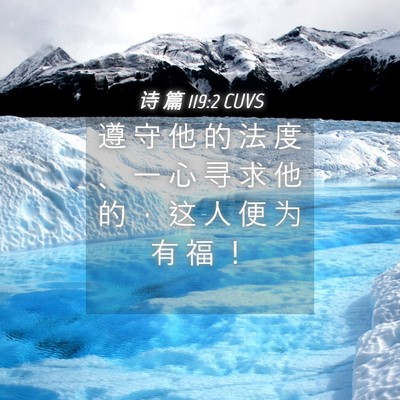 Picture 04 - 诗 篇 119:2 CUVS - 遵 守 他 的 法 度 、 一 心 寻 求 他 - Bible Verse Picture