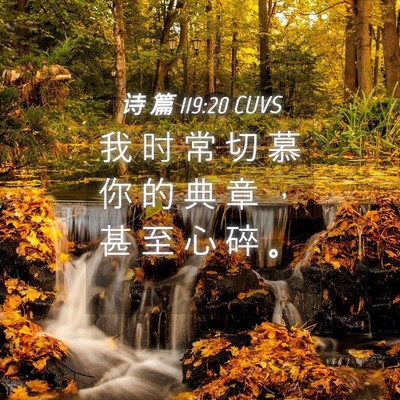 Picture 04 - 诗 篇 119:20 CUVS - 我 时 常 切 慕 你 的 典 章 ， 甚 至 - Bible Verse Picture
