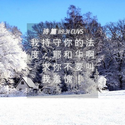 Picture 04 - 诗 篇 119:31 CUVS - 我 持 守 你 的 法 度 ； 耶 和 华 啊 - Bible Verse Picture