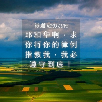 Picture 04 - 诗 篇 119:33 CUVS - 耶 和 华 啊 ， 求 你 将 你 的 律 例 - Bible Verse Picture