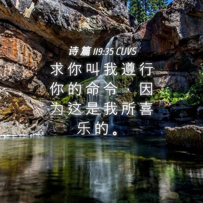 Picture 04 - 诗 篇 119:35 CUVS - 求 你 叫 我 遵 行 你 的 命 令 ， 因 - Bible Verse Picture