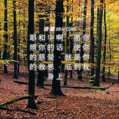 Picture 04 - 诗 篇 119:41 CUVS - 耶 和 华 啊 ， 愿 你 照 你 的 话 ， - Bible Verse Picture