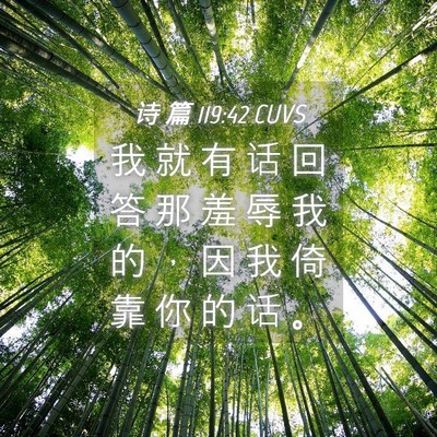 Picture 04 - 诗 篇 119:42 CUVS - 我 就 有 话 回 答 那 羞 辱 我 的 ， - Bible Verse Picture