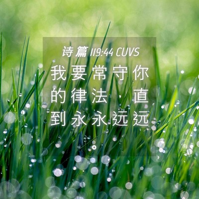 Picture 04 - 诗 篇 119:44 CUVS - 我 要 常 守 你 的 律 法 ， 直 到 永 - Bible Verse Picture