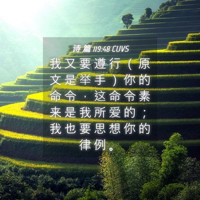 Picture 04 - 诗 篇 119:48 CUVS - 我 又 要 遵 行 （ 原 文 是 举 手 ） - Bible Verse Picture