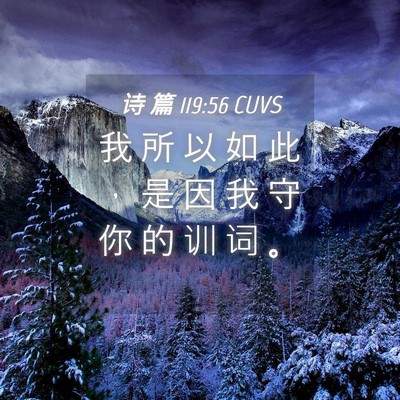 Picture 04 - 诗 篇 119:56 CUVS - 我 所 以 如 此 ， 是 因 我 守 你 的 - Bible Verse Picture