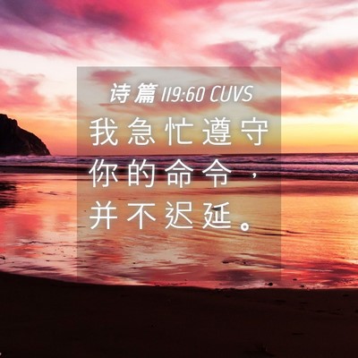 Picture 04 - 诗 篇 119:60 CUVS - 我 急 忙 遵 守 你 的 命 令 ， 并 不 - Bible Verse Picture