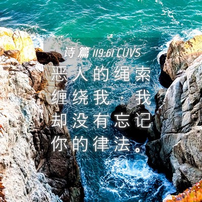 Picture 04 - 诗 篇 119:61 CUVS - 恶 人 的 绳 索 缠 绕 我 ， 我 却 没 - Bible Verse Picture