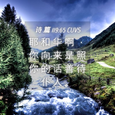 Picture 04 - 诗 篇 119:65 CUVS - 耶 和 华 啊 ， 你 向 来 是 照 你 的 - Bible Verse Picture