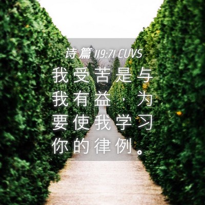 Picture 04 - 诗 篇 119:71 CUVS - 我 受 苦 是 与 我 有 益 ， 为 要 使 - Bible Verse Picture