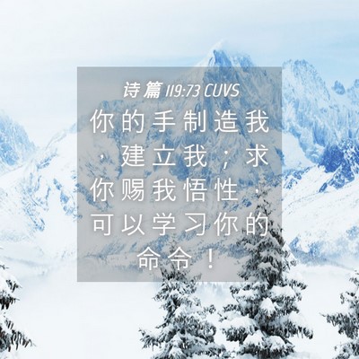 Picture 04 - 诗 篇 119:73 CUVS - 你 的 手 制 造 我 ， 建 立 我 ； 求 - Bible Verse Picture