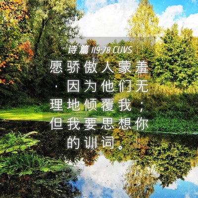 Picture 04 - 诗 篇 119:78 CUVS - 愿 骄 傲 人 蒙 羞 ， 因 为 他 们 无 - Bible Verse Picture