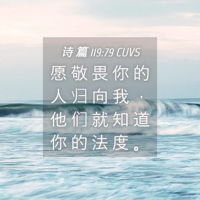 Picture 04 - 诗 篇 119:79 CUVS - 愿 敬 畏 你 的 人 归 向 我 ， 他 们 - Bible Verse Picture