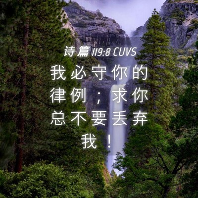 Picture 04 - 诗 篇 119:8 CUVS - 我 必 守 你 的 律 例 ； 求 你 总 不 - Bible Verse Picture