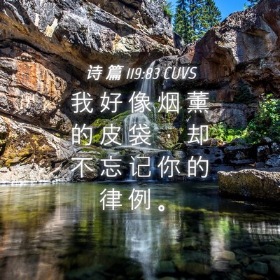 Picture 04 - 诗 篇 119:83 CUVS - 我 好 像 烟 薰 的 皮 袋 ， 却 不 忘 - Bible Verse Picture