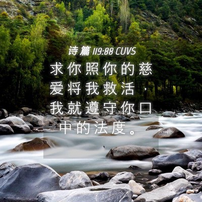 Picture 04 - 诗 篇 119:88 CUVS - 求 你 照 你 的 慈 爱 将 我 救 活 ， - Bible Verse Picture