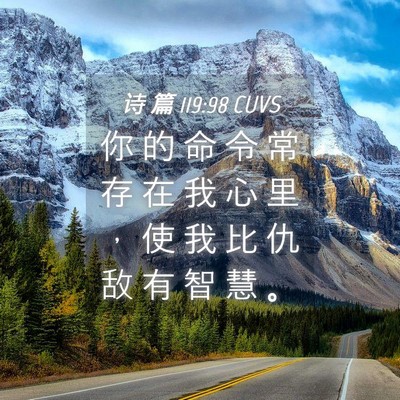 Picture 04 - 诗 篇 119:98 CUVS - 你 的 命 令 常 存 在 我 心 里 ， 使 - Bible Verse Picture