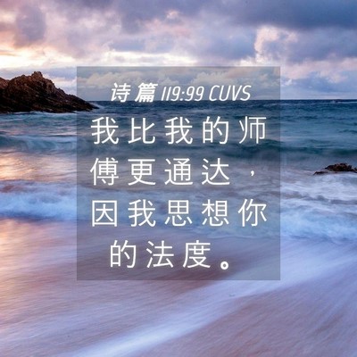 Picture 04 - 诗 篇 119:99 CUVS - 我 比 我 的 师 傅 更 通 达 ， 因 我 - Bible Verse Picture
