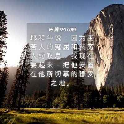 Picture 04 - 诗 篇 12:5 CUVS - 耶 和 华 说 ： 因 为 困 苦 人 的 冤 - Bible Verse Picture