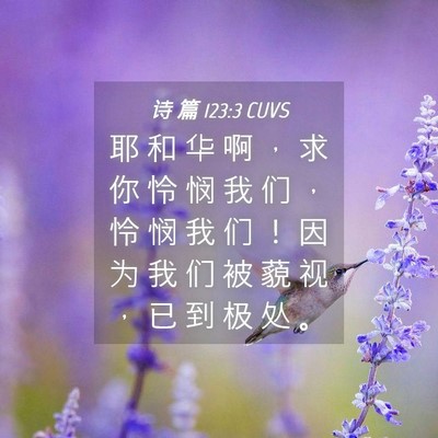 Picture 04 - 诗 篇 123:3 CUVS - 耶 和 华 啊 ， 求 你 怜 悯 我 们 ， - Bible Verse Picture