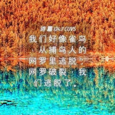 Picture 04 - 诗 篇 124:7 CUVS - 我 们 好 像 雀 鸟 ， 从 捕 鸟 人 的 - Bible Verse Picture