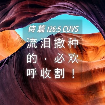Picture 04 - 诗 篇 126:5 CUVS - 流 泪 撒 种 的 ， 必 欢 呼 收 割 - Bible Verse Picture