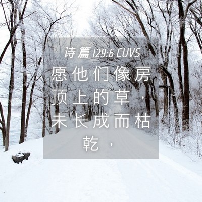 Picture 04 - 诗 篇 129:6 CUVS - 愿 他 们 像 房 顶 上 的 草 ， 未 长 - Bible Verse Picture