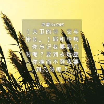 Picture 04 - 诗 篇 13:1 CUVS - （ 大 卫 的 诗 ， 交 与 伶 长 。 ） - Bible Verse Picture