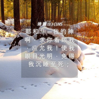 Picture 04 - 诗 篇 13:3 CUVS - 耶 和 华 ─ 我 的 神 啊 ， 求 你 看 - Bible Verse Picture