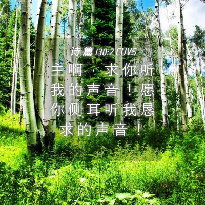 Picture 04 - 诗 篇 130:2 CUVS - 主 啊 ， 求 你 听 我 的 声 音 ！ 愿 - Bible Verse Picture