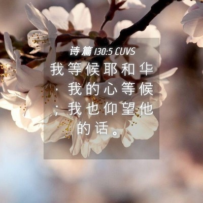 Picture 04 - 诗 篇 130:5 CUVS - 我 等 候 耶 和 华 ， 我 的 心 等 候 - Bible Verse Picture