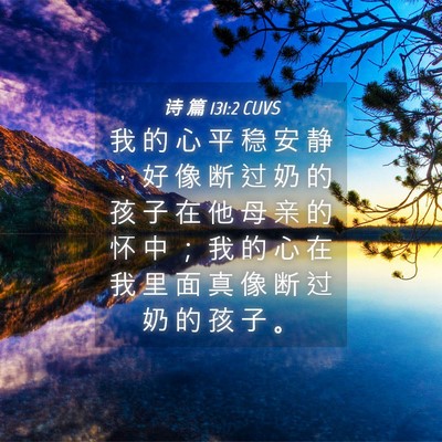 Picture 04 - 诗 篇 131:2 CUVS - 我 的 心 平 稳 安 静 ， 好 像 断 过 - Bible Verse Picture