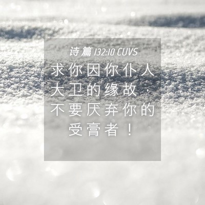 Picture 04 - 诗 篇 132:10 CUVS - 求 你 因 你 仆 人 大 卫 的 缘 故 ， - Bible Verse Picture