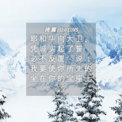 Picture 04 - 诗 篇 132:11 CUVS - 耶 和 华 向 大 卫 、 凭 诚 实 起 了 - Bible Verse Picture