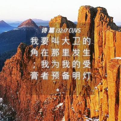 Picture 04 - 诗 篇 132:17 CUVS - 我 要 叫 大 卫 的 角 在 那 里 发 生 - Bible Verse Picture