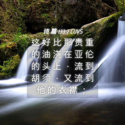 Picture 04 - 诗 篇 133:2 CUVS - 这 好 比 那 贵 重 的 油 浇 在 亚 伦 - Bible Verse Picture