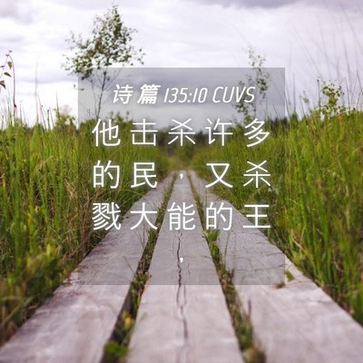 Picture 04 - 诗 篇 135:10 CUVS - 他 击 杀 许 多 的 民 ， 又 杀 戮 大 - Bible Verse Picture