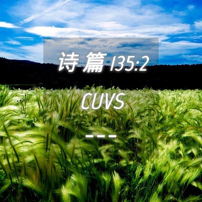 Picture 04 - 诗 篇 135:2 CUVS -  - Bible Verse Picture