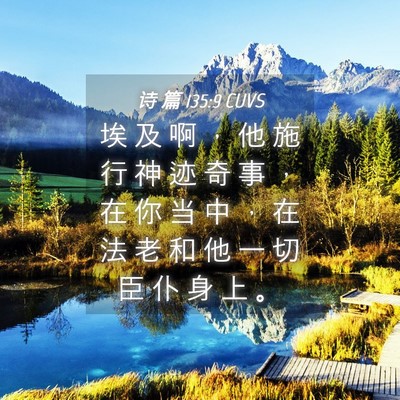 Picture 04 - 诗 篇 135:9 CUVS - 埃 及 啊 ， 他 施 行 神 迹 奇 事 ， - Bible Verse Picture