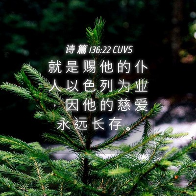 Picture 04 - 诗 篇 136:22 CUVS - 就 是 赐 他 的 仆 人 以 色 列 为 业 - Bible Verse Picture