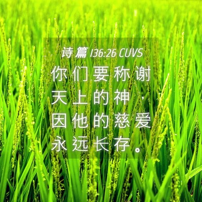 Picture 04 - 诗 篇 136:26 CUVS - 你 们 要 称 谢 天 上 的 神 ， 因 他 - Bible Verse Picture
