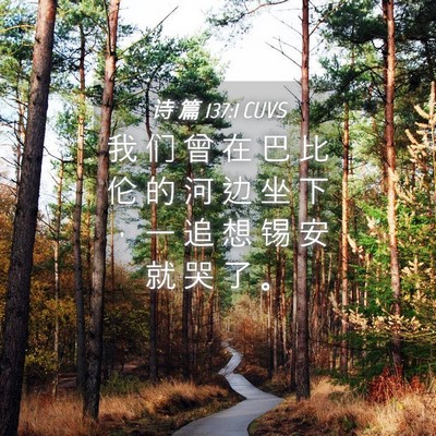 Picture 04 - 诗 篇 137:1 CUVS - 我 们 曾 在 巴 比 伦 的 河 边 坐 下 - Bible Verse Picture