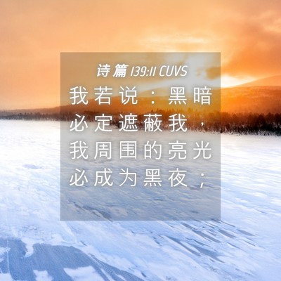 Picture 04 - 诗 篇 139:11 CUVS - 我 若 说 ： 黑 暗 必 定 遮 蔽 我 ， - Bible Verse Picture