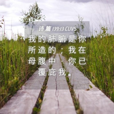 Picture 04 - 诗 篇 139:13 CUVS - 我 的 肺 腑 是 你 所 造 的 ； 我 在 - Bible Verse Picture