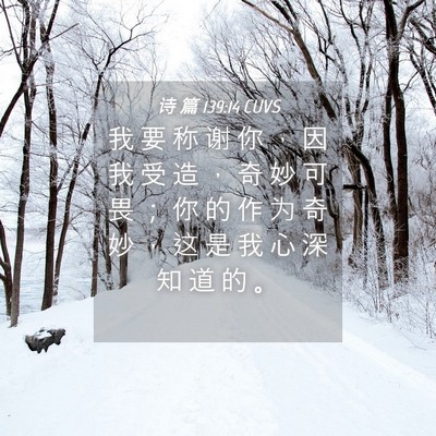 Picture 04 - 诗 篇 139:14 CUVS - 我 要 称 谢 你 ， 因 我 受 造 ， 奇 - Bible Verse Picture