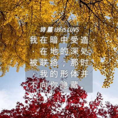 Picture 04 - 诗 篇 139:15 CUVS - 我 在 暗 中 受 造 ， 在 地 的 深 处 - Bible Verse Picture