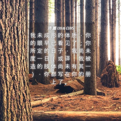 Picture 04 - 诗 篇 139:16 CUVS - 我 未 成 形 的 体 质 ， 你 的 眼 早 - Bible Verse Picture