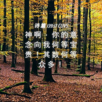 Picture 04 - 诗 篇 139:17 CUVS - 神 啊 ， 你 的 意 念 向 我 何 等 宝 - Bible Verse Picture